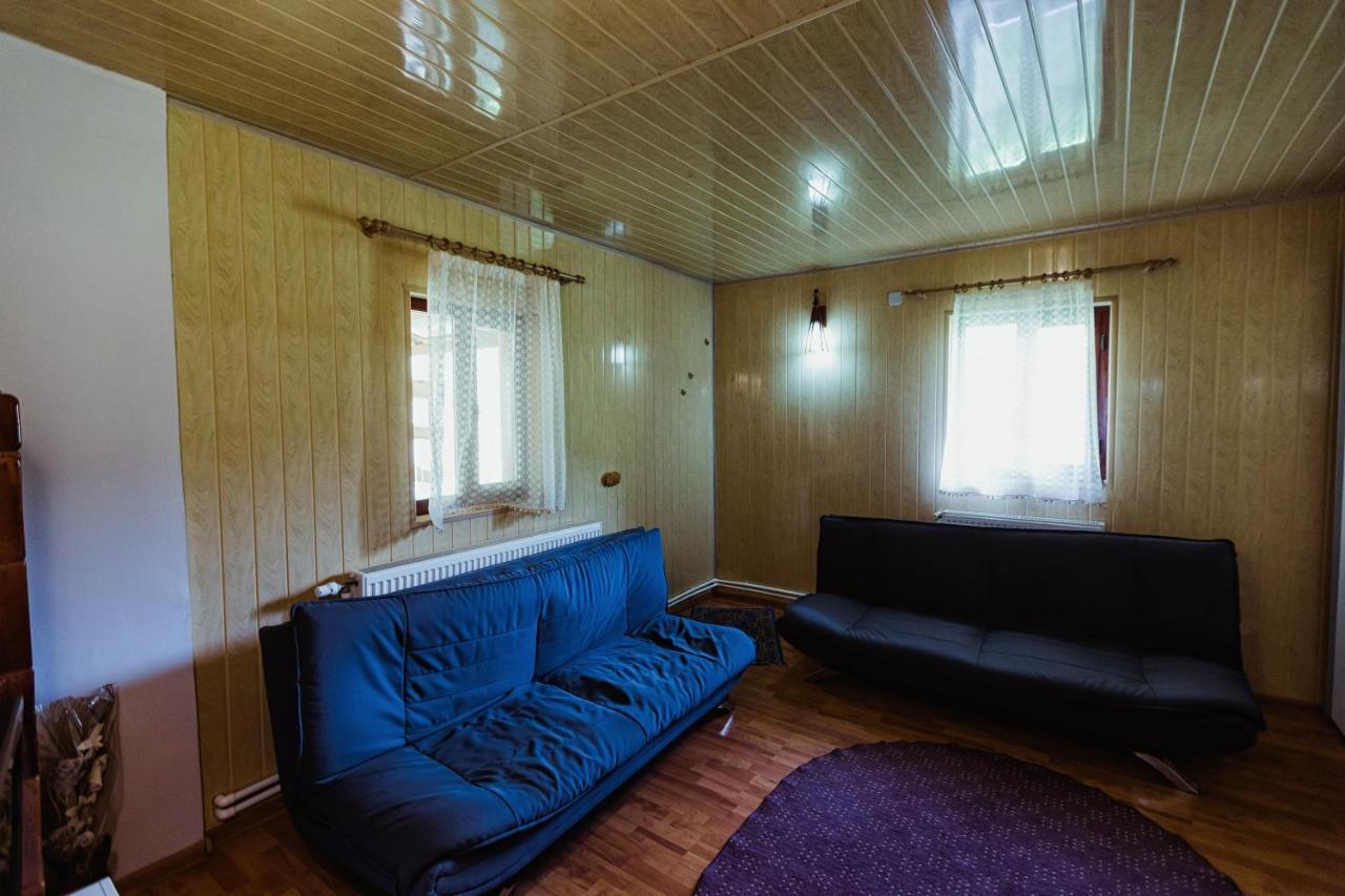 Cabana Daria Ribicioara المظهر الخارجي الصورة