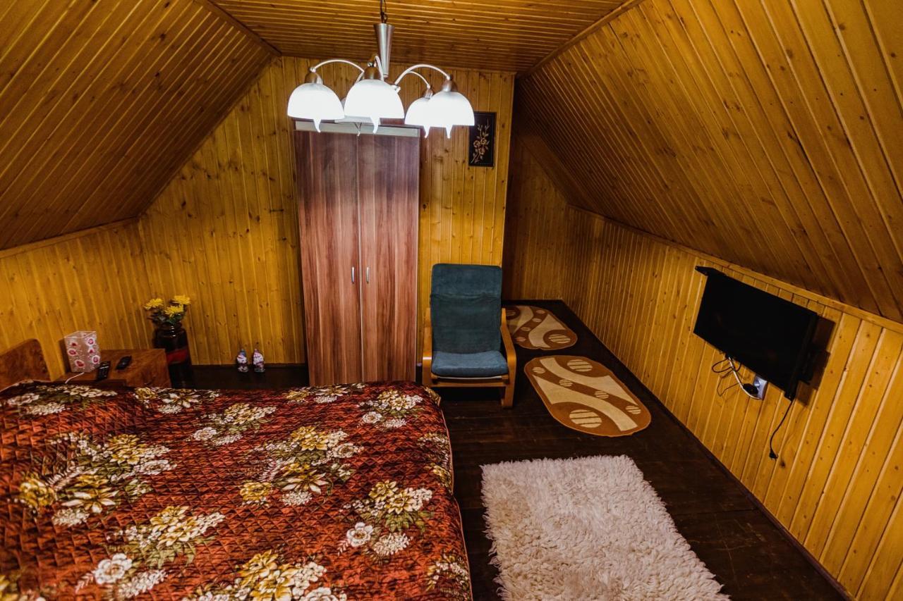 Cabana Daria Ribicioara المظهر الخارجي الصورة