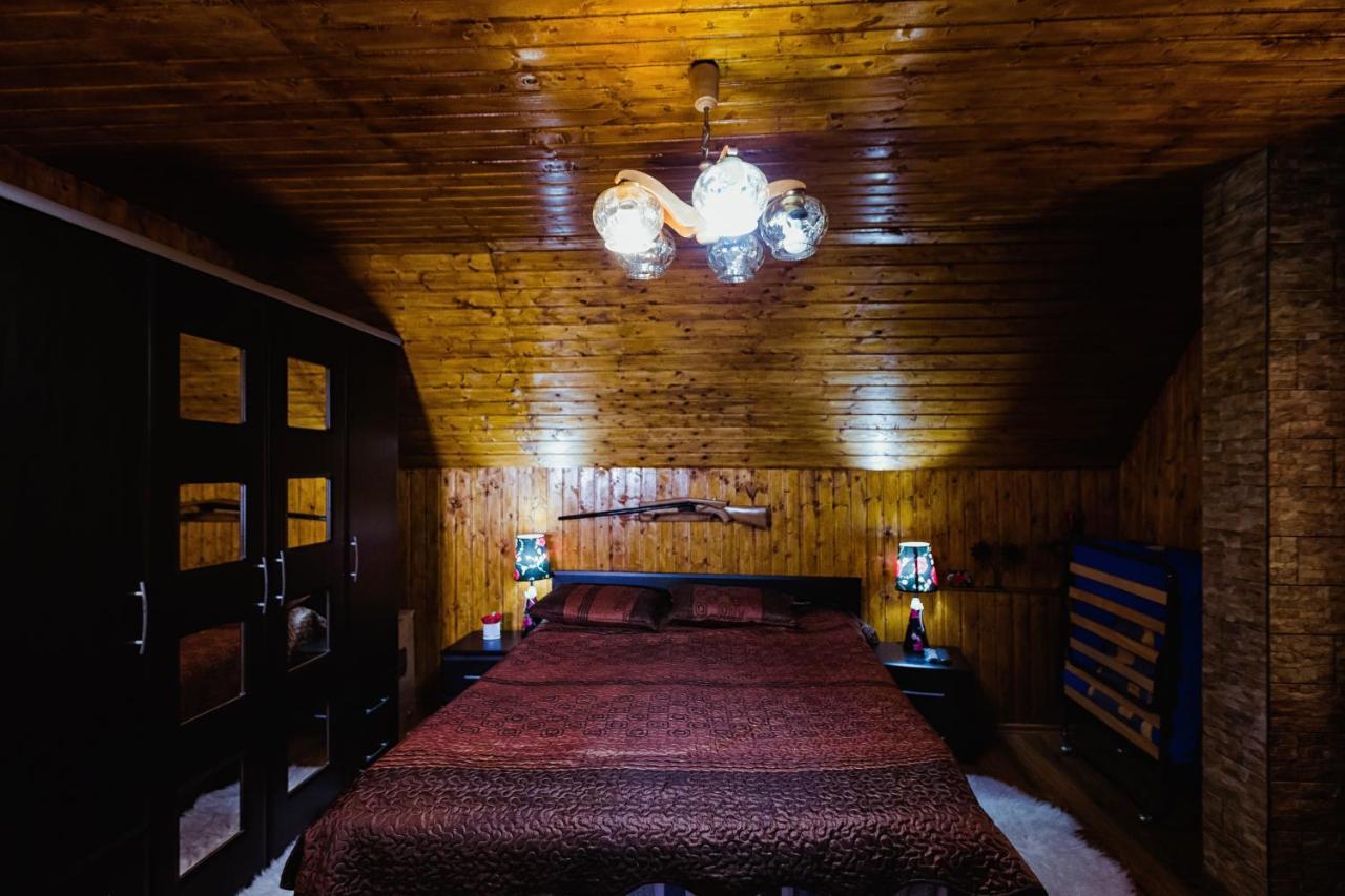 Cabana Daria Ribicioara المظهر الخارجي الصورة