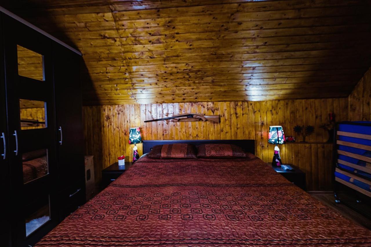 Cabana Daria Ribicioara المظهر الخارجي الصورة